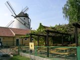tour de ville panoramique dans le quartier du vin