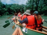 Excursion au Parc National Donau-Auen